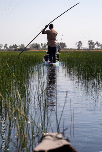 A poler in the Okavango Delta guiding his mokoro boat through the water in Botswana, Africa