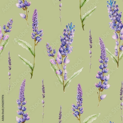Fototapeta Naklejka Na Ścianę i Meble -  Lavender flowers floral watercolor decorative vintage seamless pattern background