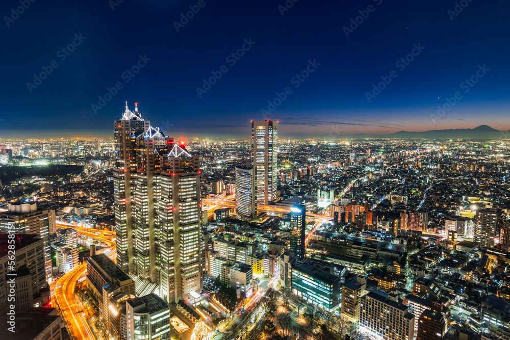 富士山と東京 夜景