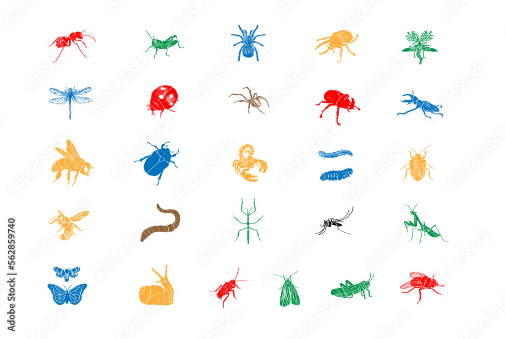 Set of simple insect. Engraving illustrations. Set of simple insect. Engraving illustrations.