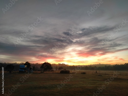 Fototapeta Naklejka Na Ścianę i Meble -  sunrise over the field
