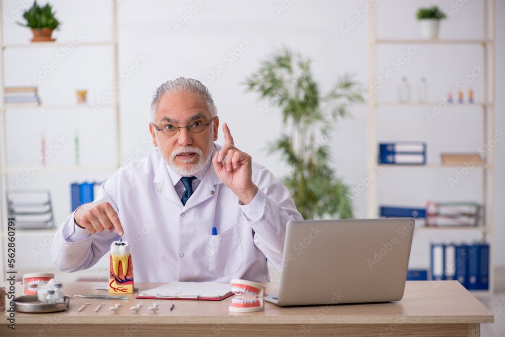 Old male doctor dentist working in the clinic Old male doctor dentist working in the clinic
