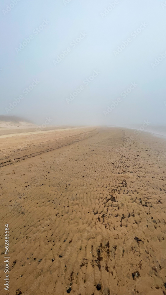 beautiful sandy seashore in fog
