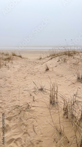 beautiful sandy seashore in fog