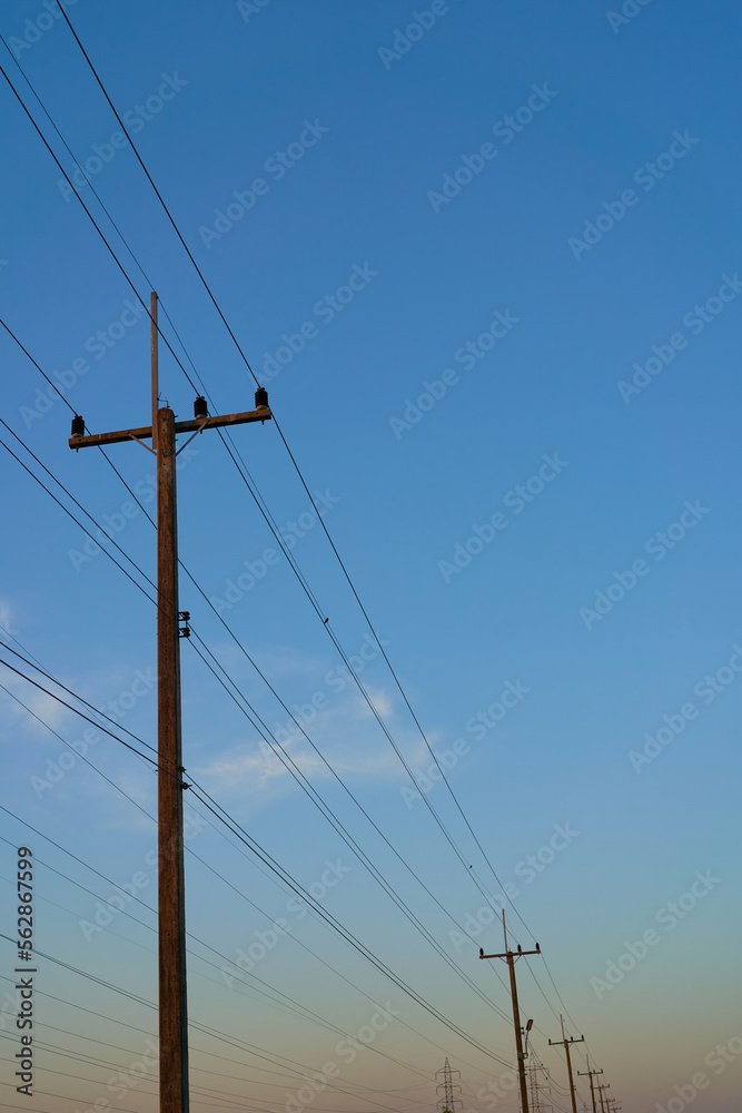 The electrical power lines with poles
