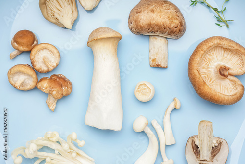 Plate with different fresh mushrooms, closeup