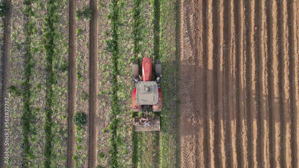Tractor Machinery Working, Doing Maintenance and Cleaning Agriculture Field from Weed.
A farmer tills his land with a vehicle. Aerial Drone slow motion video, top down view Tractor Machinery Working, Doing Maintenance and Cleaning Agriculture Field from Weed.
A farmer tills his land with a vehicle. Aerial Drone slow motion video, top down view