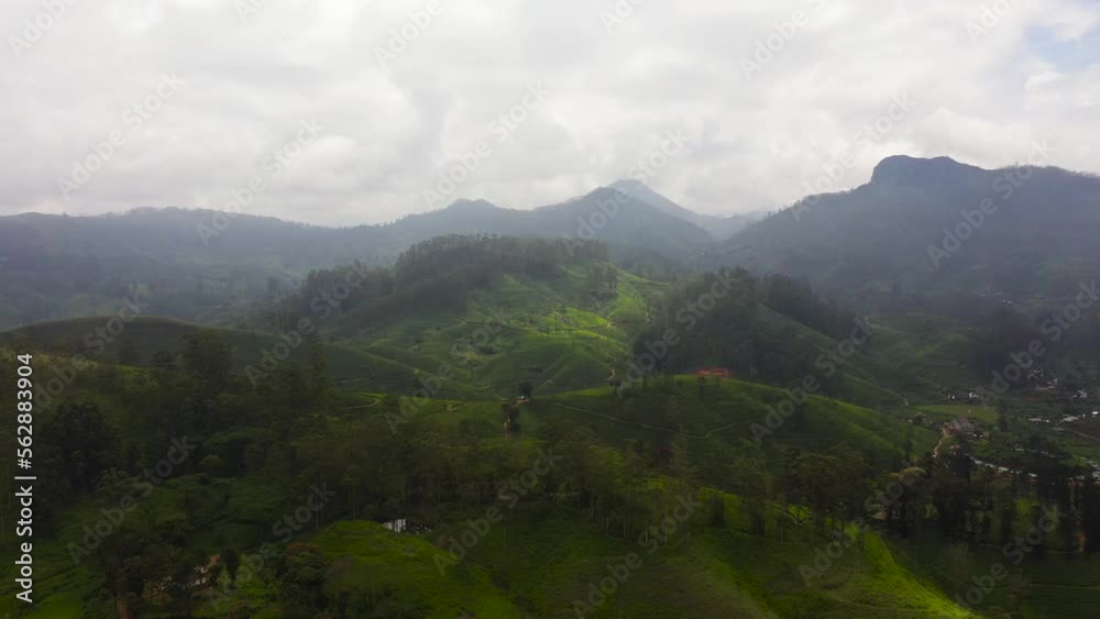 Aerial drone of Tea estate in Sri Lanka. High mountain tea plantation. Maskeliya. Aerial drone of Tea estate in Sri Lanka. High mountain tea plantation. Maskeliya.