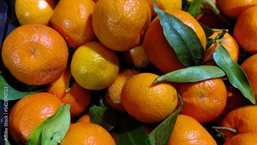 Arance e mandarini photo