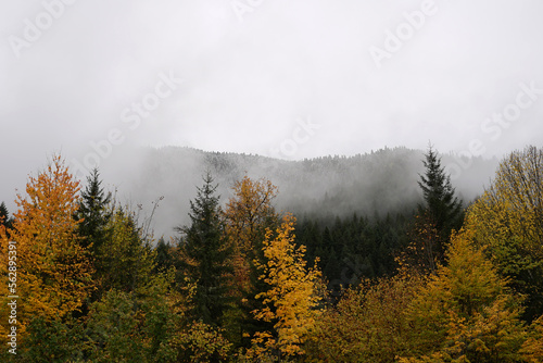 Beautiful autumn mountain landscape of the Caucasus mountain range