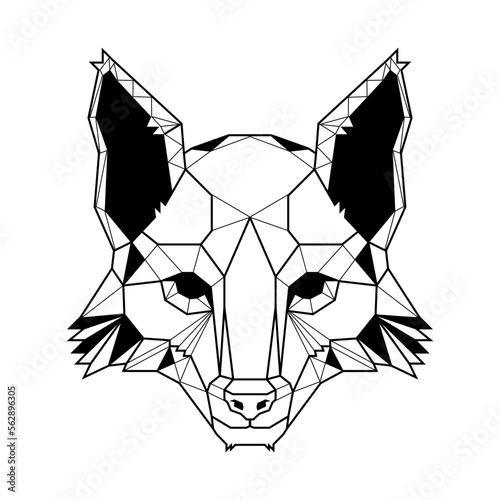 Polygon head fox