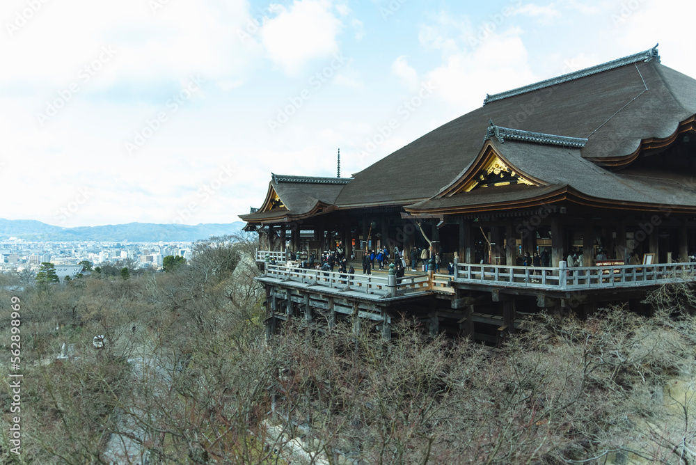 Fototapeta premium 清水寺
