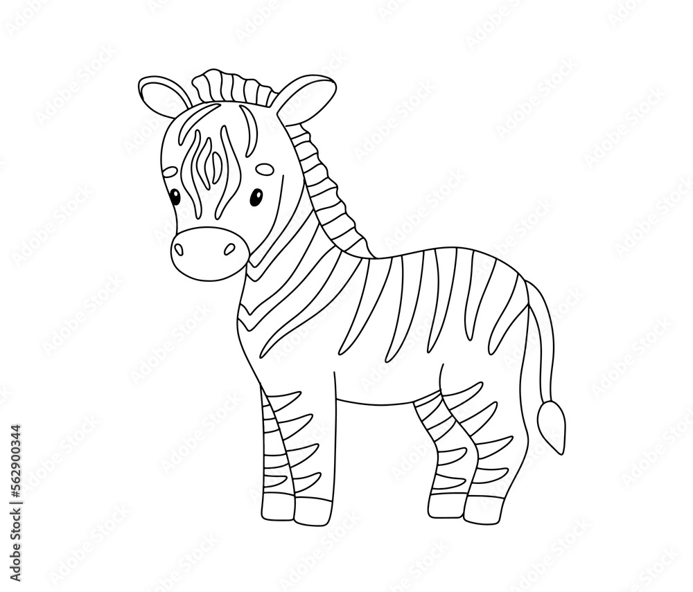 Baby Zebra Animal Coloring Pages