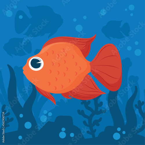 goldfish reef underwater