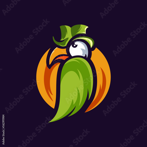 Colorful toucan vector logo illustration