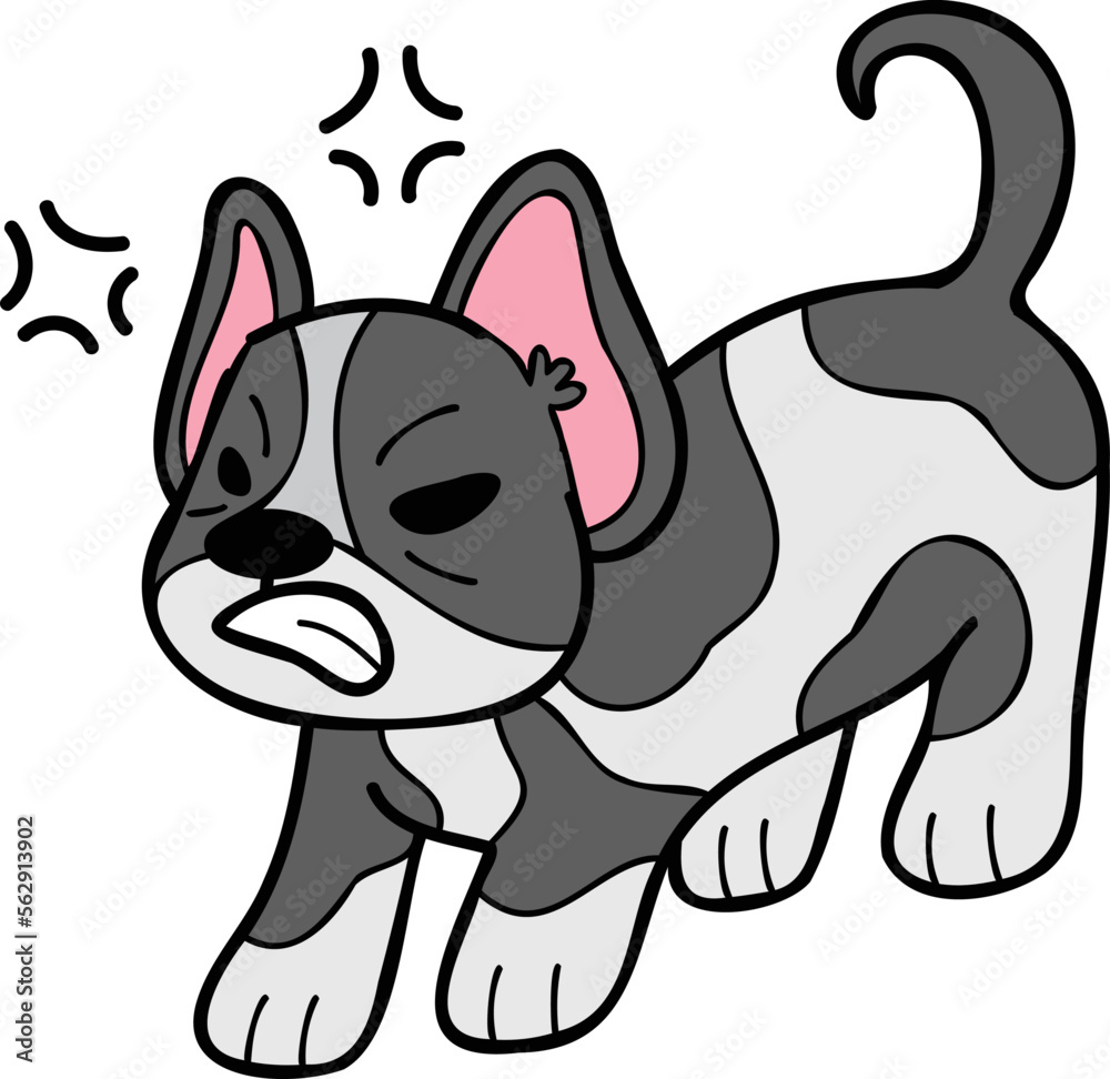 Fototapeta premium Hand Drawn French bulldog illustration in doodle style
