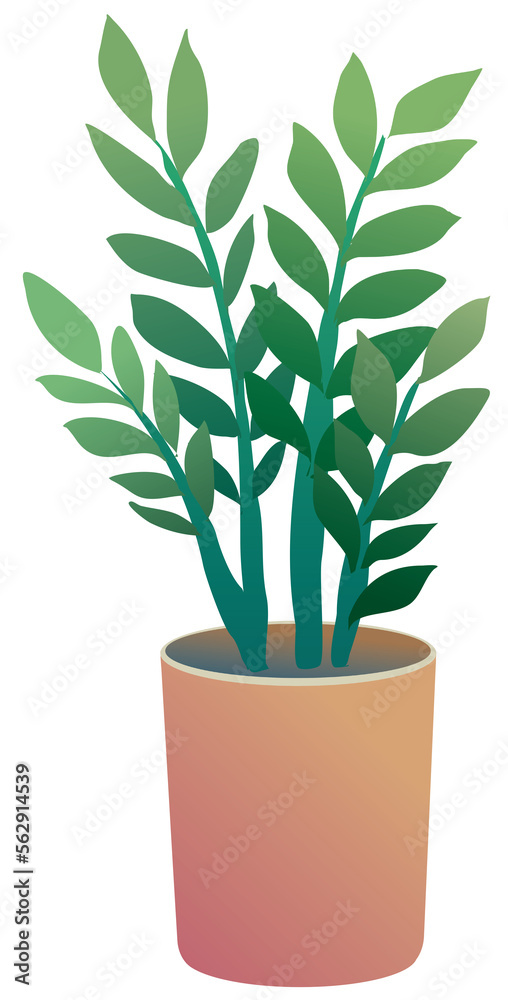 Home Pot Plants decoration style for indoor and outdoor interior. potting houseplants tree urban garden illustration Home Pot Plants decoration style for indoor and outdoor interior. potting houseplants tree urban garden illustration