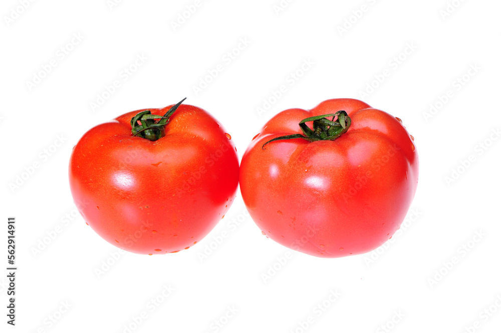 tomatoes isolated on white background tomatoes isolated on white background