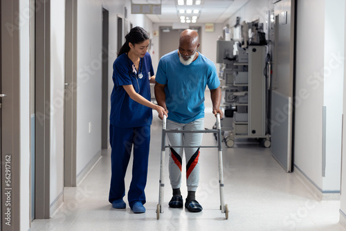 Diverse female doctor helping senior male patient use walking frame in hospital corridor, copy space