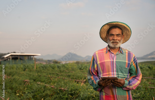 Portrait of senior farmer modern farmer standing with arms crossed in the wheat field Smiling agriculture using digital tablet