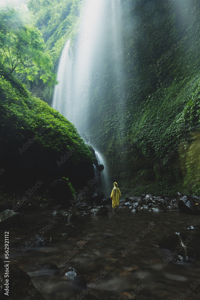 A tourist wearing a yellow raincoat is admiring the stunning Madikaripura waterfalls. Madakaripura Waterfall is one of the most spectacular waterfalls in East Java, Indonesia.