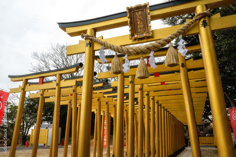 茨城県ひたちなか市　ほしいも神社の鳥居