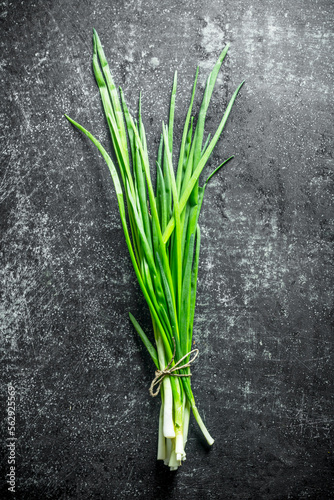 Bunch of green onion.