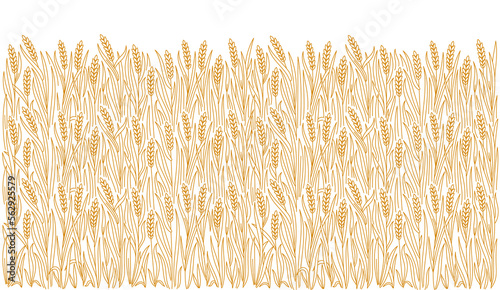 Bakery wrapping paper. Cereal background. Grains and ears of wheat, rye or barley. Vector line. Editable outline stroke.