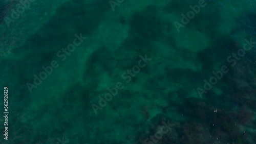 drone view of Carlsbad reef photo