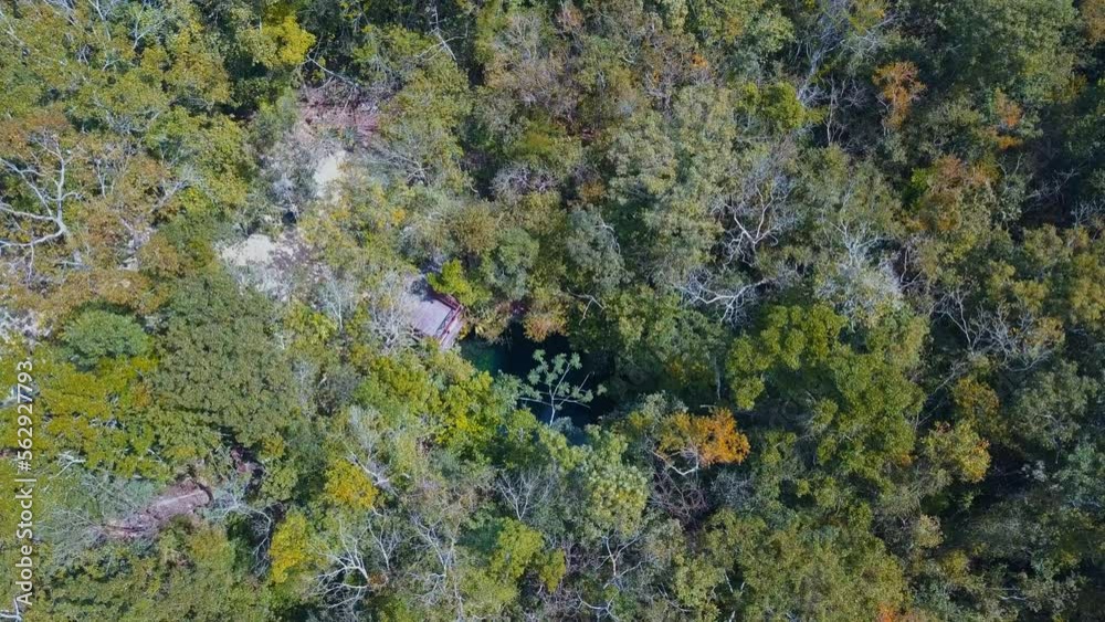 A blue hole appearing in the middle of the jungle in mexico, drone shot of a cenote A blue hole appearing in the middle of the jungle in mexico, drone shot of a cenote