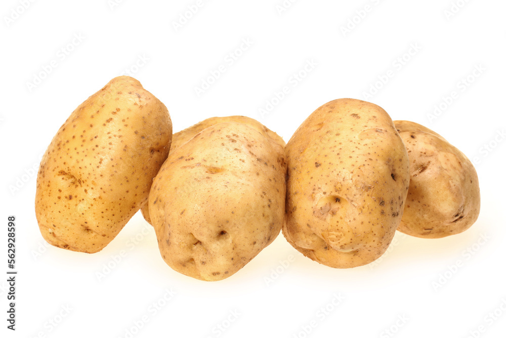 New potato isolated on white background New potato isolated on white background