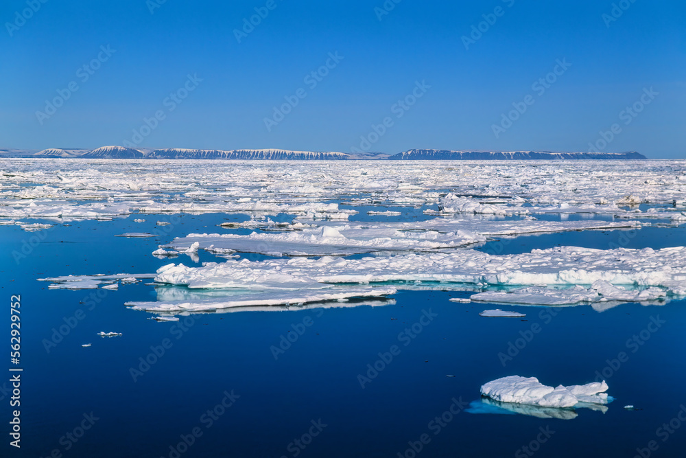Drift ice outside the Svalbard coast Drift ice outside the Svalbard coast