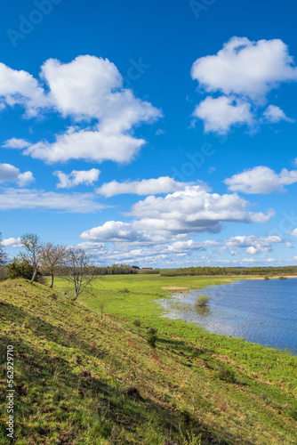 Lake with a wetland in a beautiful landscape view in the spring