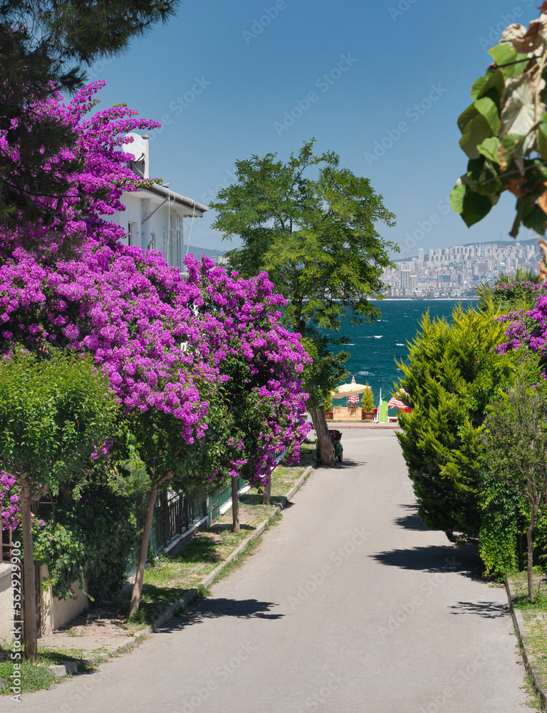 A path with beautiful blooming gardens and old house and views of the Marmara Sea on the Adalar Islands. Istanbul