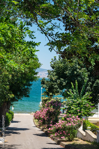 A path with beautiful blooming gardens and views of the Marmara Sea on the Adalar Islands. Istanbul