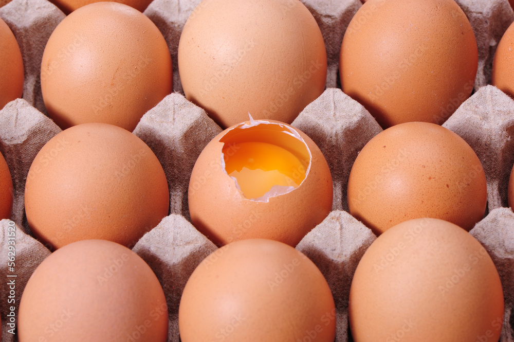 Broken egg isolated on white background Broken egg isolated on white background