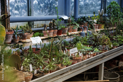 Botanical garden