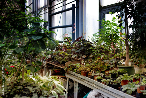 Botanical garden