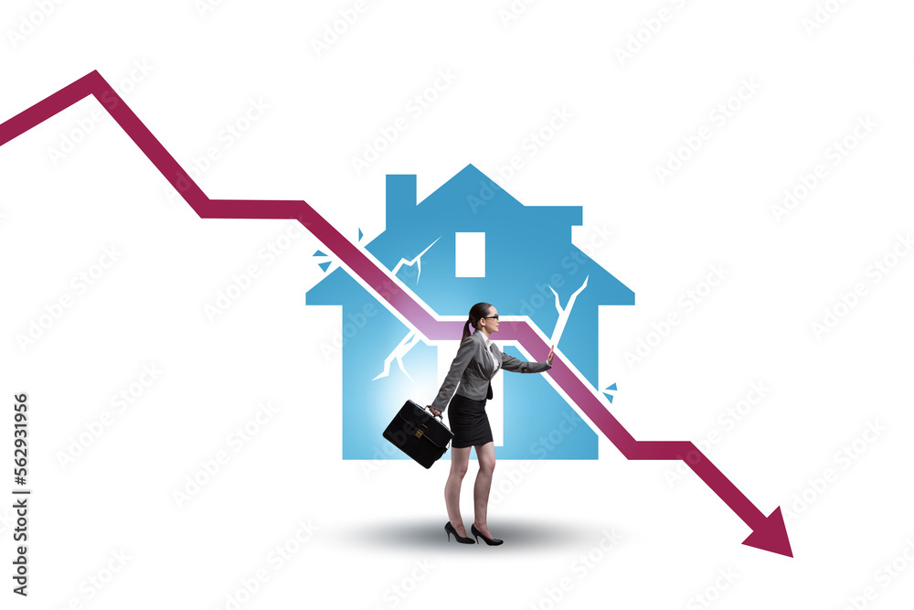 Concept of real estate price crush