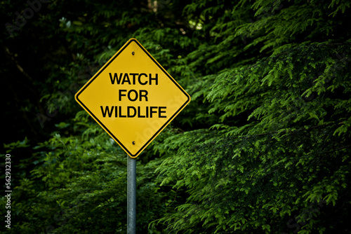 Roadsigns