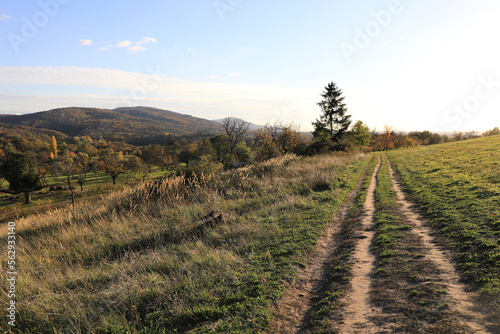 Wanderweg durch ein Feld