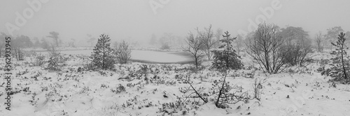 Foto Winterlandschaft Rhön- Das Schwarze Moor im Winter 4