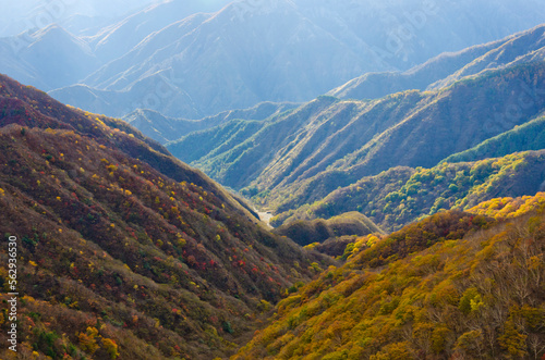 Nikko National Park, Nikko, Tochigi prefecture, Japan. © Tanya