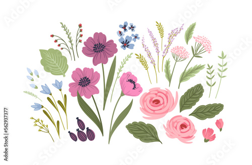 Set of floral design isolated elements. Leaves, flowers, grass, branches Vector
