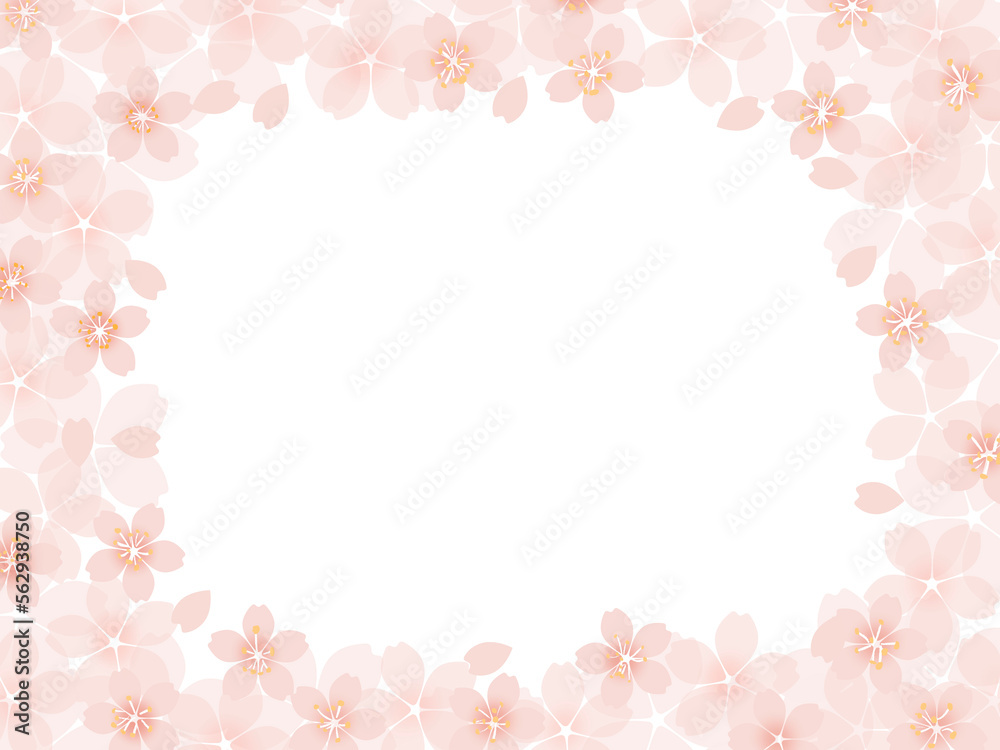 満開の桜の花が綺麗な春のフレーム背景イラスト