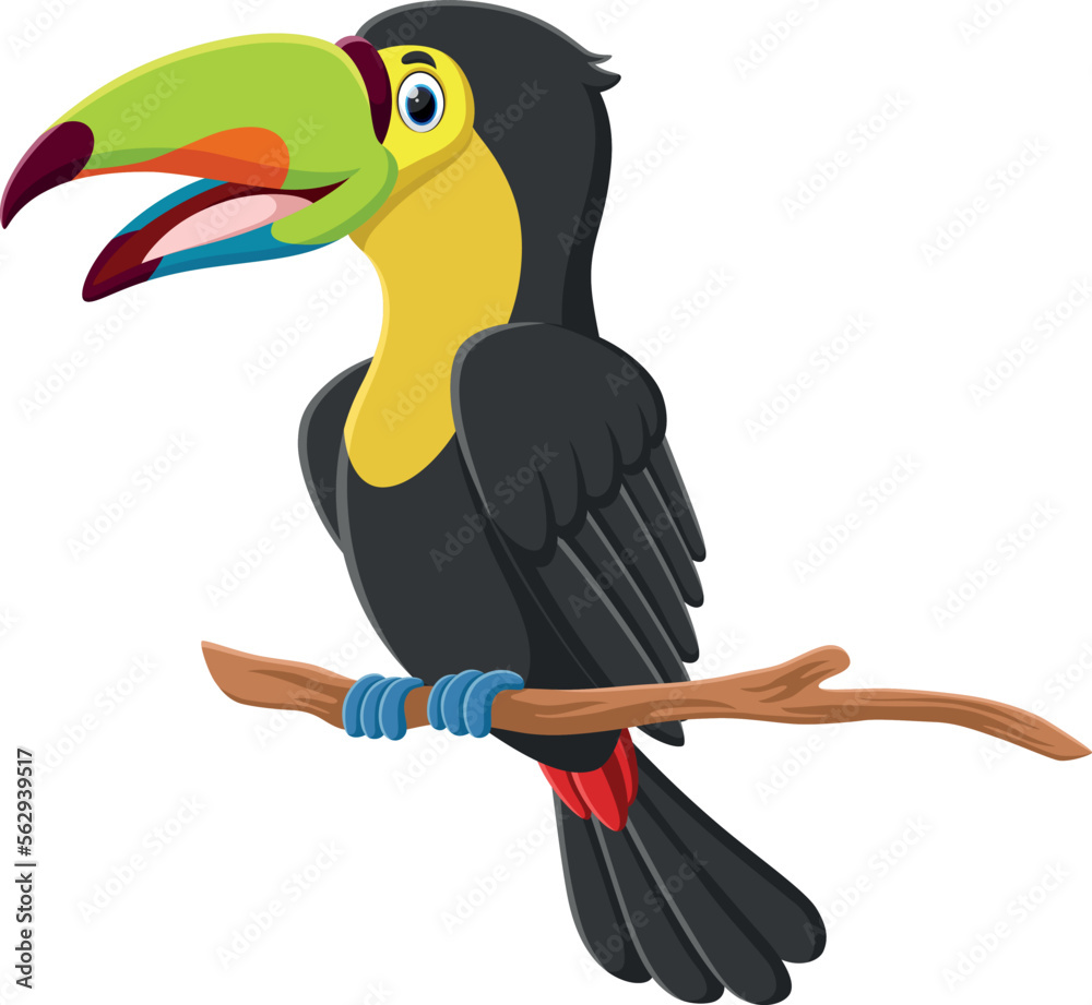 Fototapeta premium Cute Toucan bird cartoon isolated on white