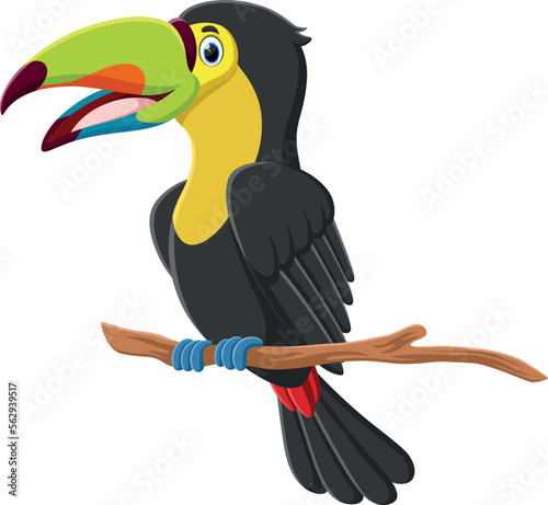 Cute Toucan bird cartoon isolated on white