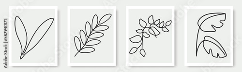  Exotic jungle leaves. Abstract contemporary modern trendy illustrations element icon