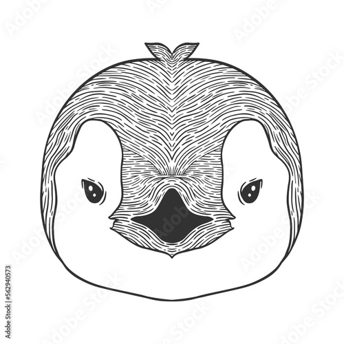 Penguin head line art illustration