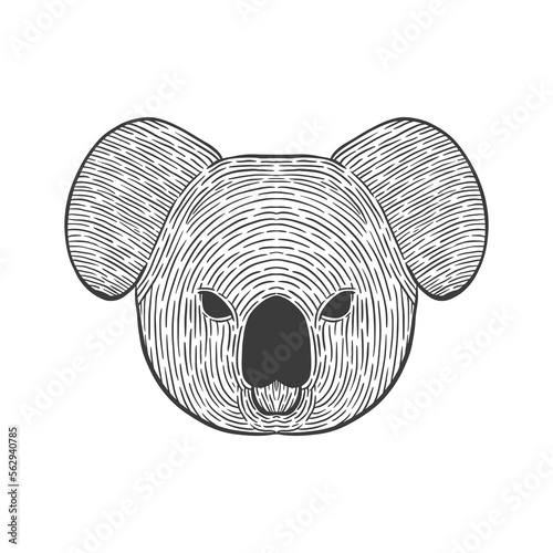 Koala head line art illustration